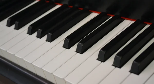 Bach: Motetten