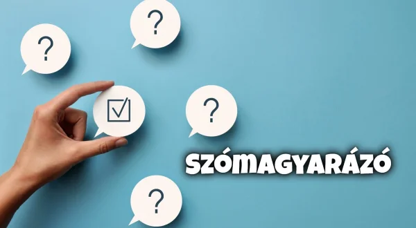 Szómagyarázó