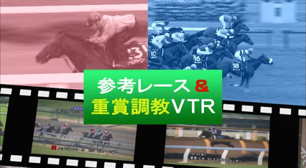 参考レース＆重賞調教VTR（日曜開催分）