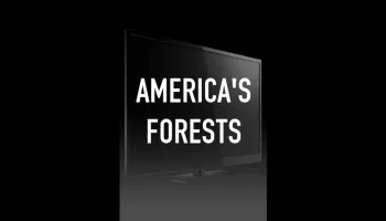 America's Forests