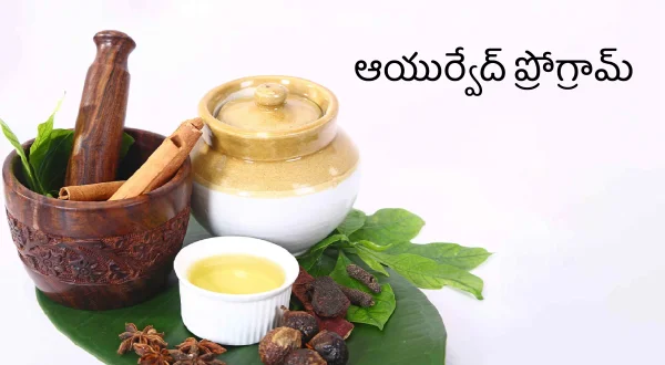 आयुर्वेद प्रोग्राम