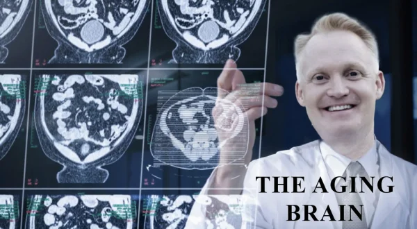 The Aging Brain