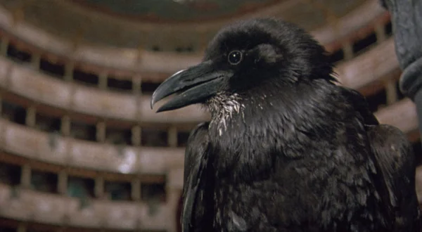 Terror in der Oper