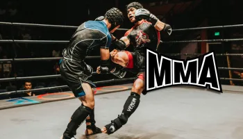Artes marciales mixtas