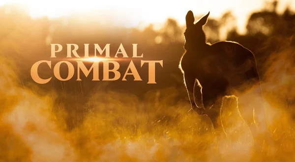 Primal Combat