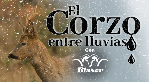 La apertura del corzo con Blaser