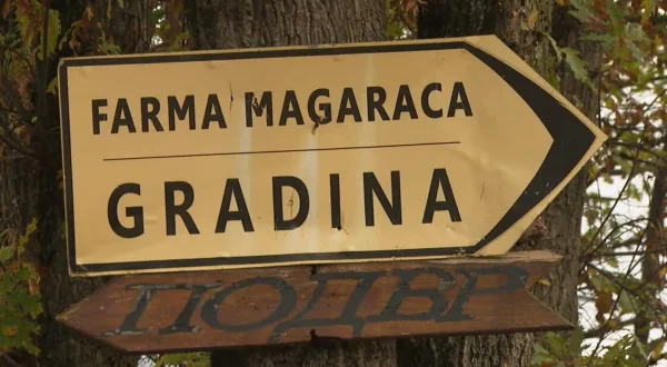 Neobična farma