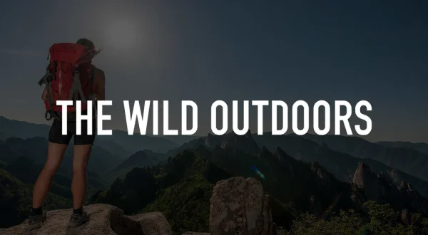 The Wild Outdoors