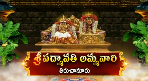 ஸ்ரீ பத்மாவதி அம்மவாரி கல்யாணம் திருச்சானூர் லைவ்