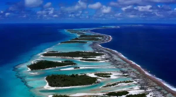 Tuamotu sauvages