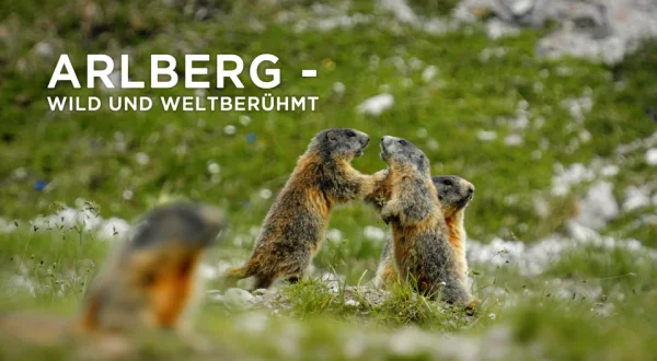 Arlberg - Wild und Weltberühmt