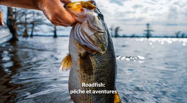 Roadfish: pêche et aventures
