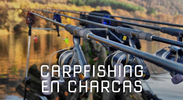 Carpfishing En Charcas