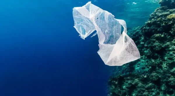 Segeltörn durchs Plastikmeer