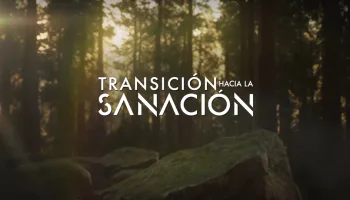 Transición hacía la sanación