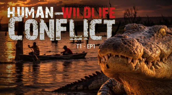 Human & wildlife conflict