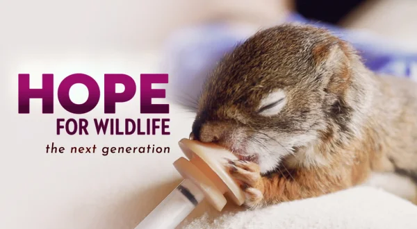 Hope for Wildlife: The Next Generation
