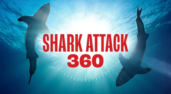 Shark Attack 360