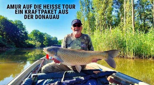 Amur auf die heiße Tour - Ein Kraftpaket aus der Donauau