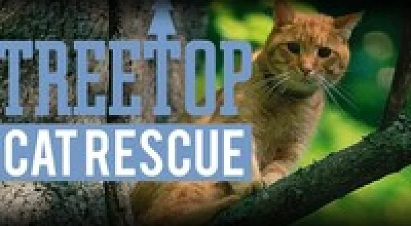 Treetop Cat Rescue