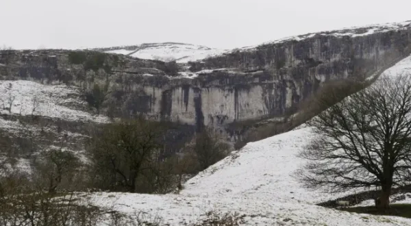 Yorkshire: Ein Jahr in der Wildnis