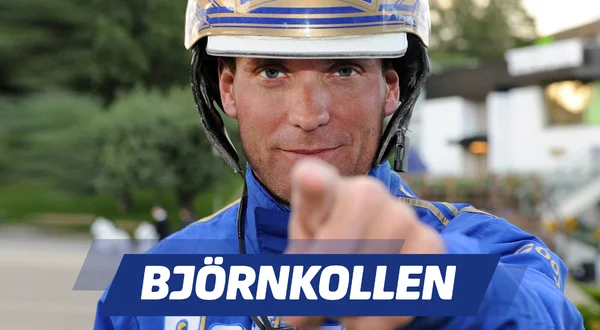 Björnkollen