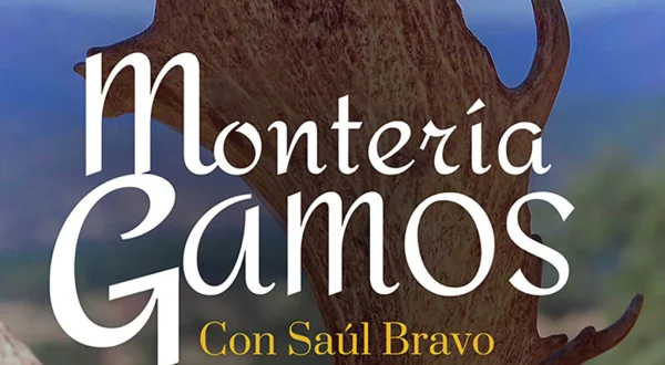 Montería de gamos con Saúl Bravo