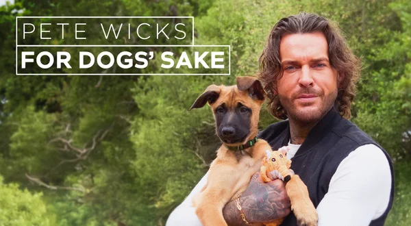 Pete Wicks: For Dogs' Sake