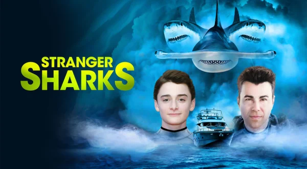 Stranger Sharks