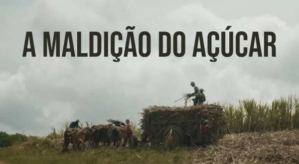 A Maldição do Açúcar
