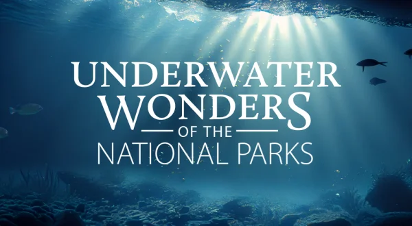 Underwater Wonders of the National Parks