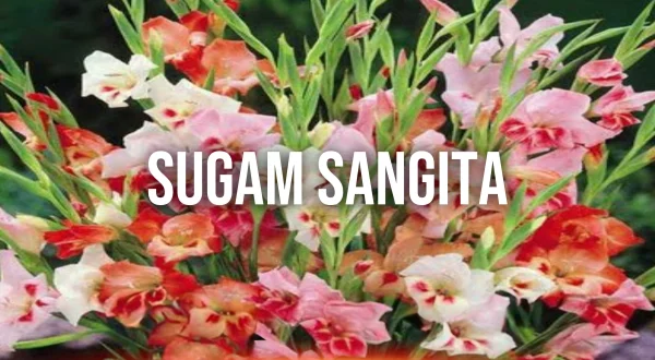 Sugam Sangeeta