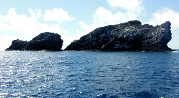 Wildes Hawaii