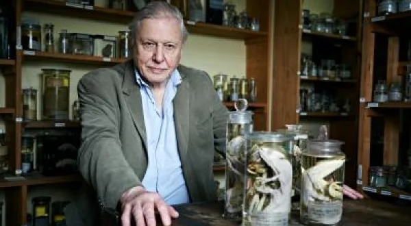 David Attenborough ile Sıradışı Canlılar