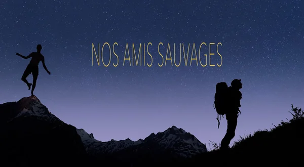 Nos amis sauvages