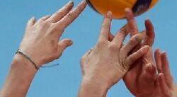 Voleybol: Efeler Ligi
