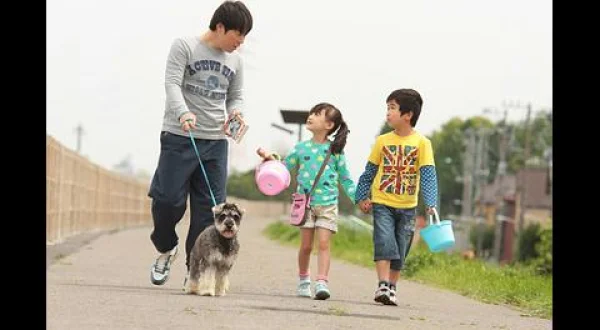 マルモのおきて 芦田愛菜と鈴木福が双子役の大人気ホームドラマ