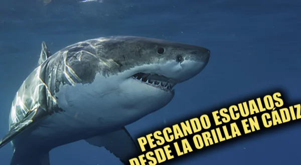 Pescando escualos desde orilla en Cádiz