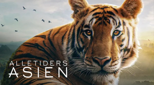 Alletiders Asien