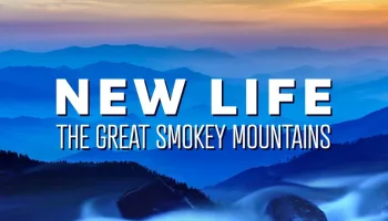 New Life: The Great Smoky Mountains