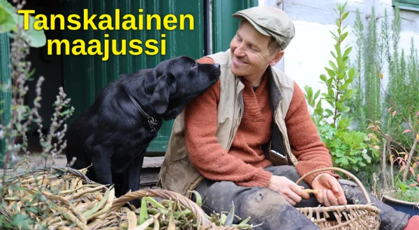 Tanskalainen maajussi