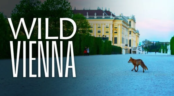 Det ville Wien