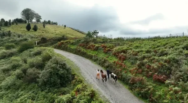 Les 100 lieux qu'il faut voir
