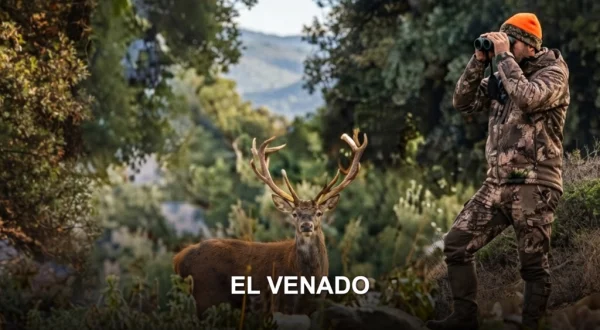 El venado
