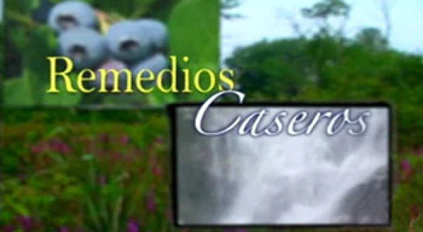 Remedios Caseros