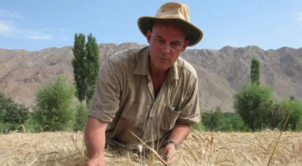Chasseur de graines