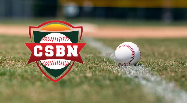 Collegiate Summer Baseball