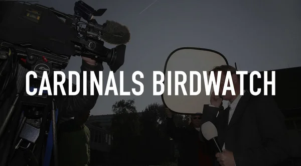 Cardinals Birdwatch