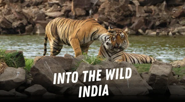 S0E8 - India e Egër