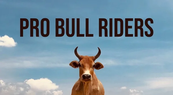 Pro Bull Riders